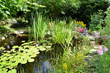 Der Gartenteich, eine Oase der Entspannung