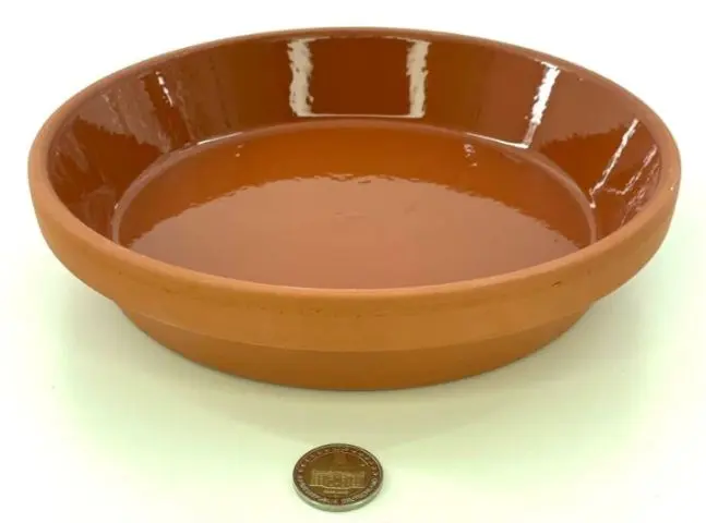 Futterschale glasiert 23,5 x 5,0 cm (Ø22 cm innen)