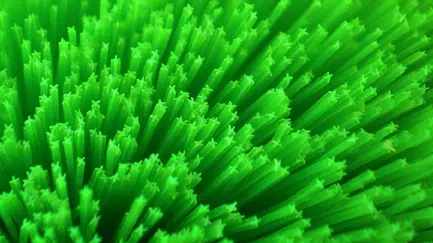 Detailaufnahme grüner Osaga Filterbürsten X-Form mit X-förmigen Filamenten; vergrößerte Oberfläche für Ansiedlung nützlicher Bakterien und bessere biologische Filterleistung, erhältlich in 6 Größen