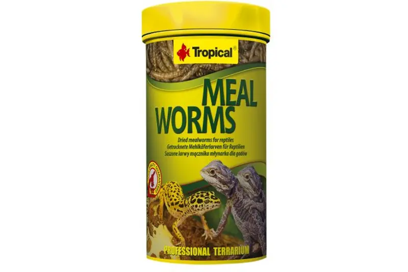 Tropical Meal Worms / Mehlwürmer, 250 ml
