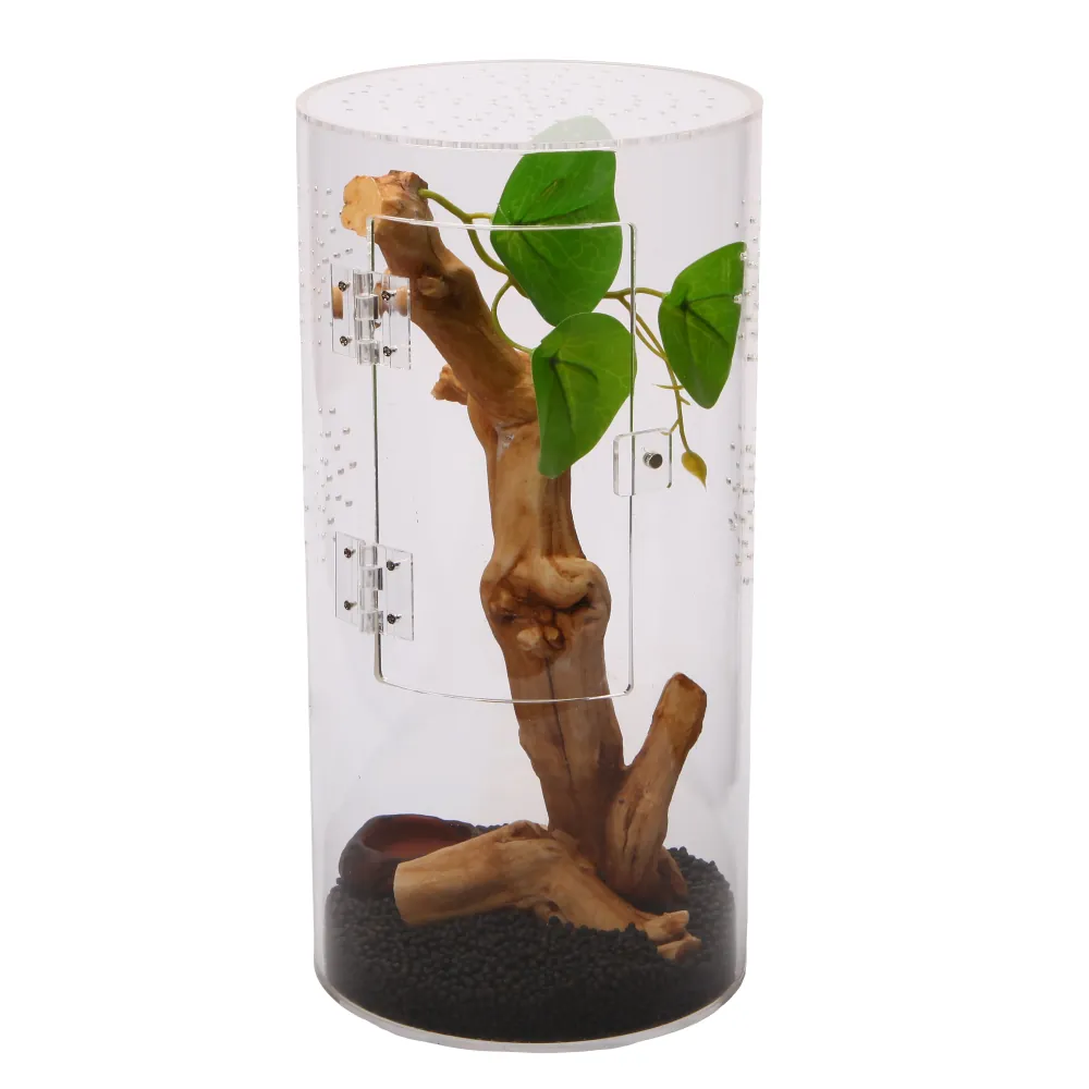 Zylindrisches transparentes Acryl-Terrarium mit kleinen Klappscharnieren, dekorativem Holzstamm, grünen Blättern und schwarzem Substrat