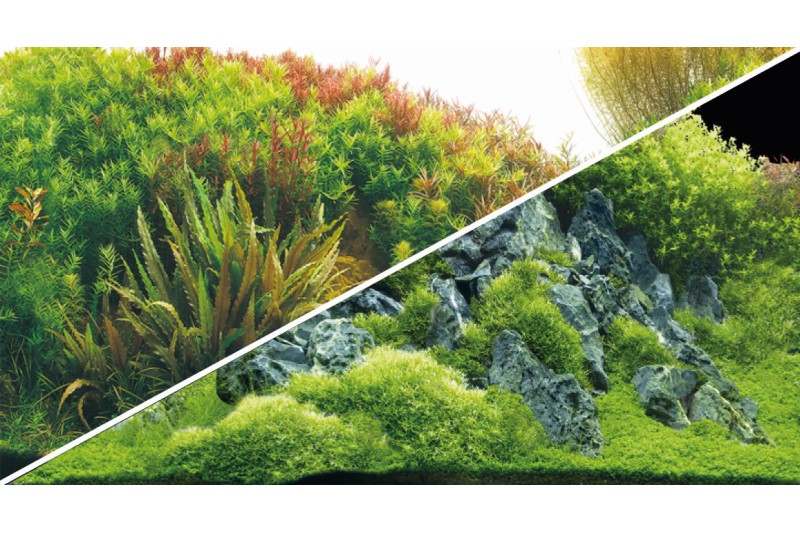 Hobby Rückwandfolie Planted River/Green Rocks, 60 cm x 30 cm