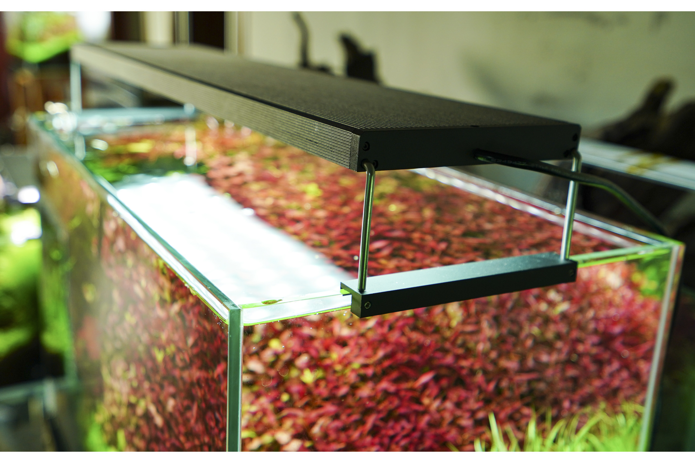 Chihiros WRGB II-Serie, LED Beleuchtung in 5 Längen