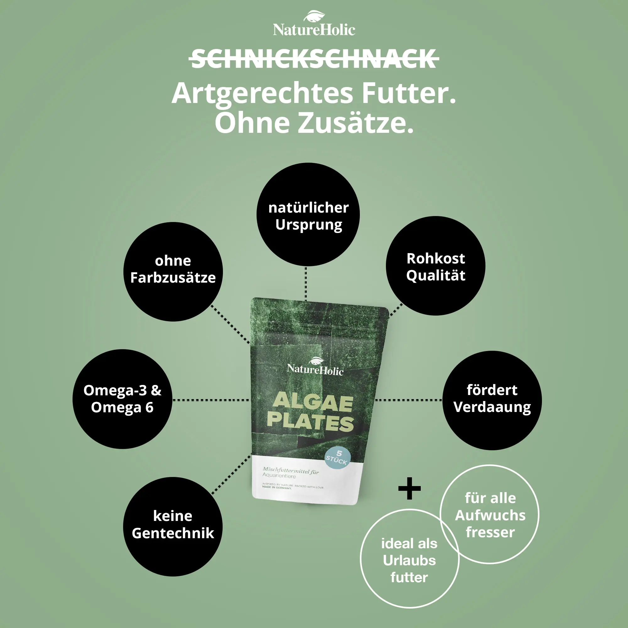 Packung NatureHolic Algae Plates auf grünem Hintergrund