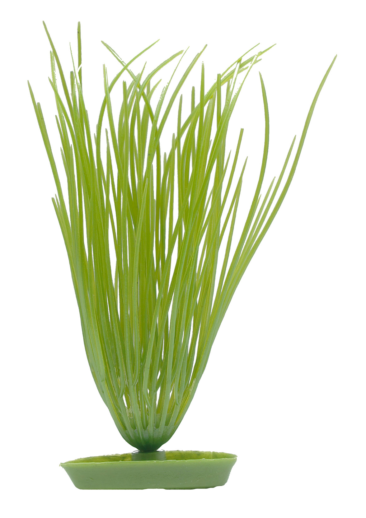 Marina Aquascaper Hairgrass 13 cm Marina Aquascaper Hairgrass 13 cm