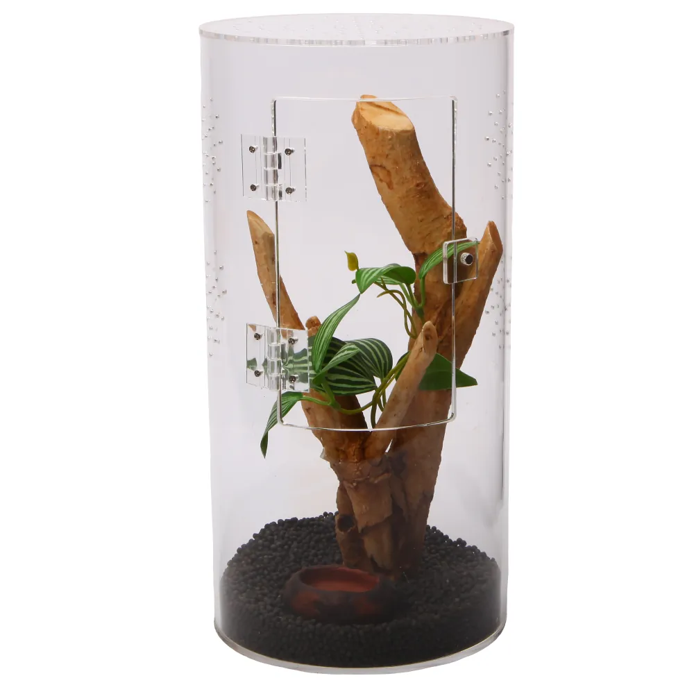 Hobby Terra Fix & Easy Insect Line rundes Acrylterrarium 15 × 15 × 30 cm mit 360°-Sicht, Frontklappe und Drainagegrund, dekoriert mit Wurzelholz und Pflanze – ideal für Springspinnen und kleine Insekten