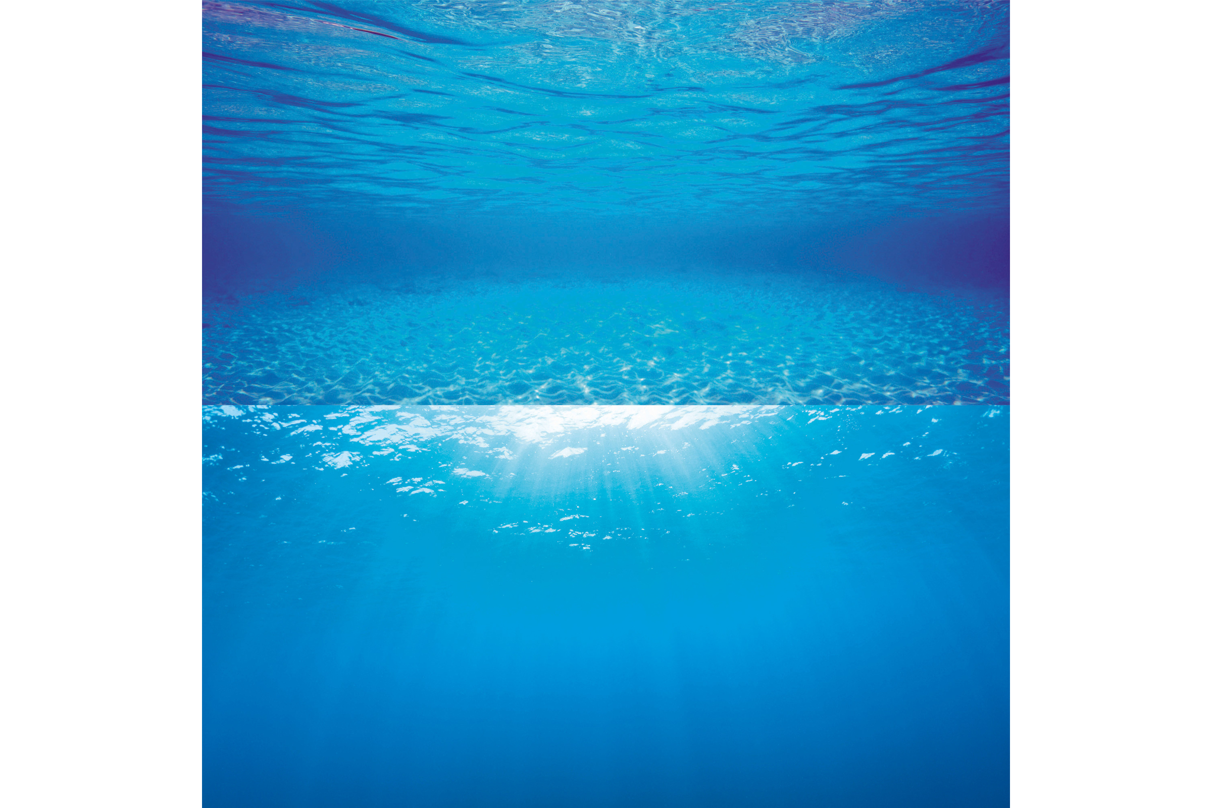 Juwel Poster 2, Rückwandposter, in 3 Größen