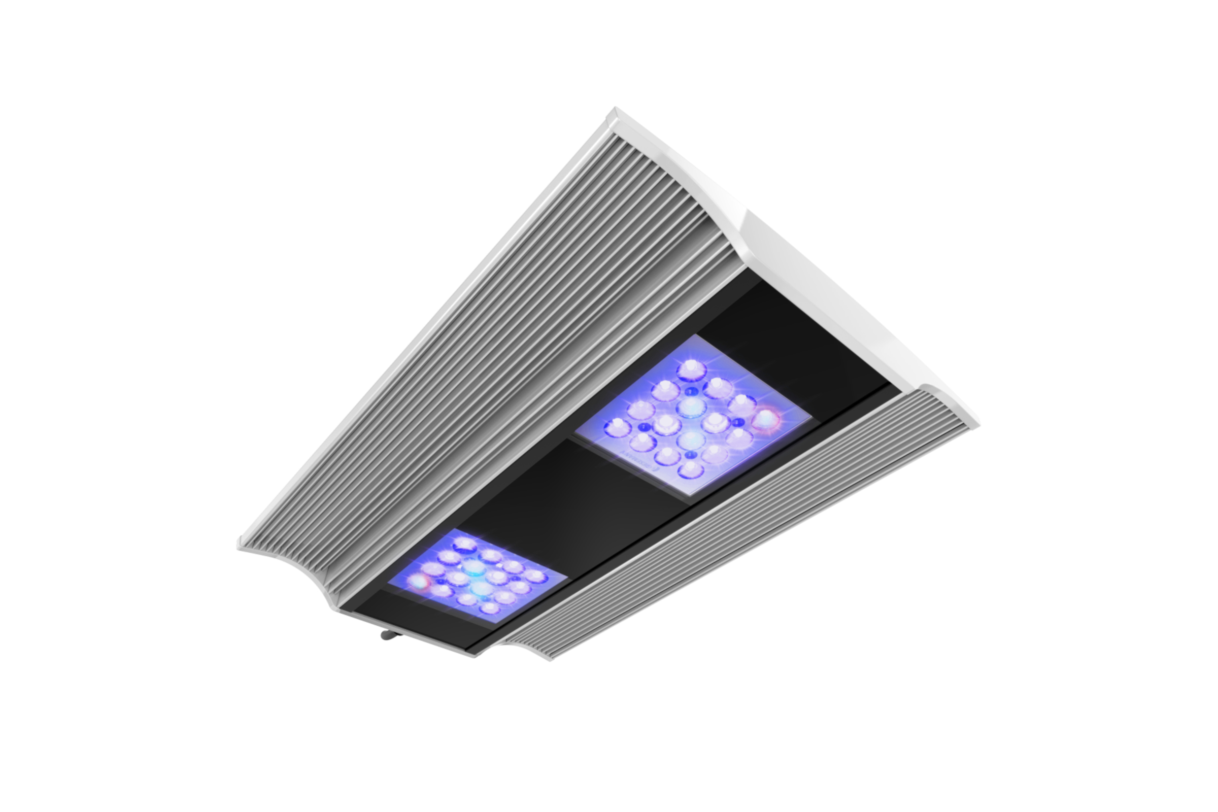 LED-Pflanzenlampe mit zwei blauen LED-Modulen