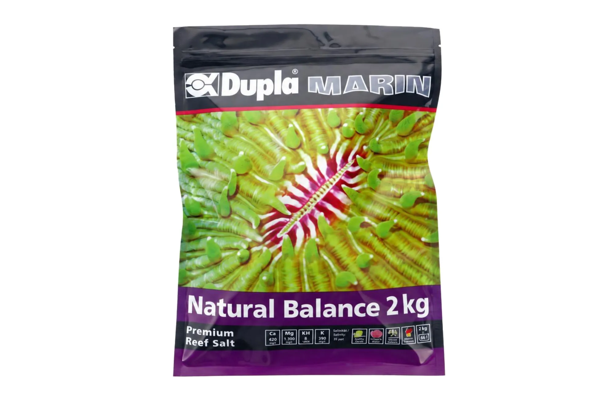 Dupla Marin Premium Reef Salt Natural Balance 2 kg – KI-generierte Abbildung aus Produktreferenz