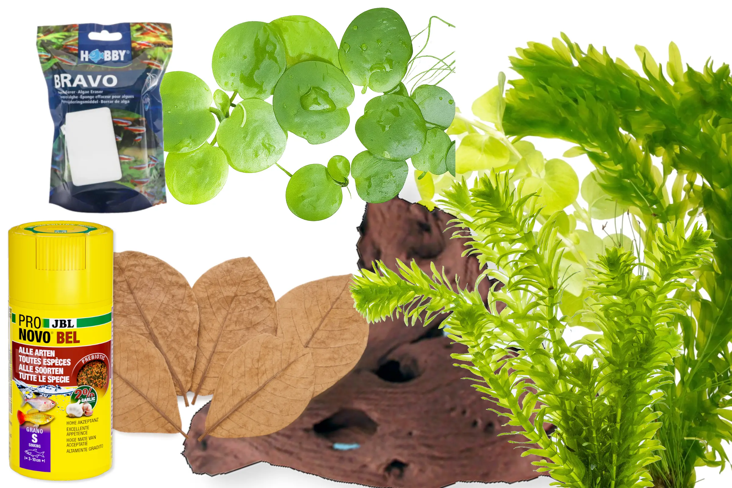 Medaka Indoor Starter-Set für 60–80 cm Aquarien