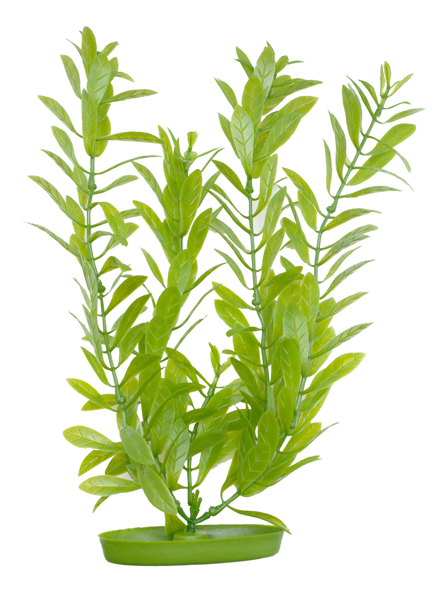 Marina Aquascaper Hygrophila 30 cm Marina Aquascaper Hygrophila 30 cm