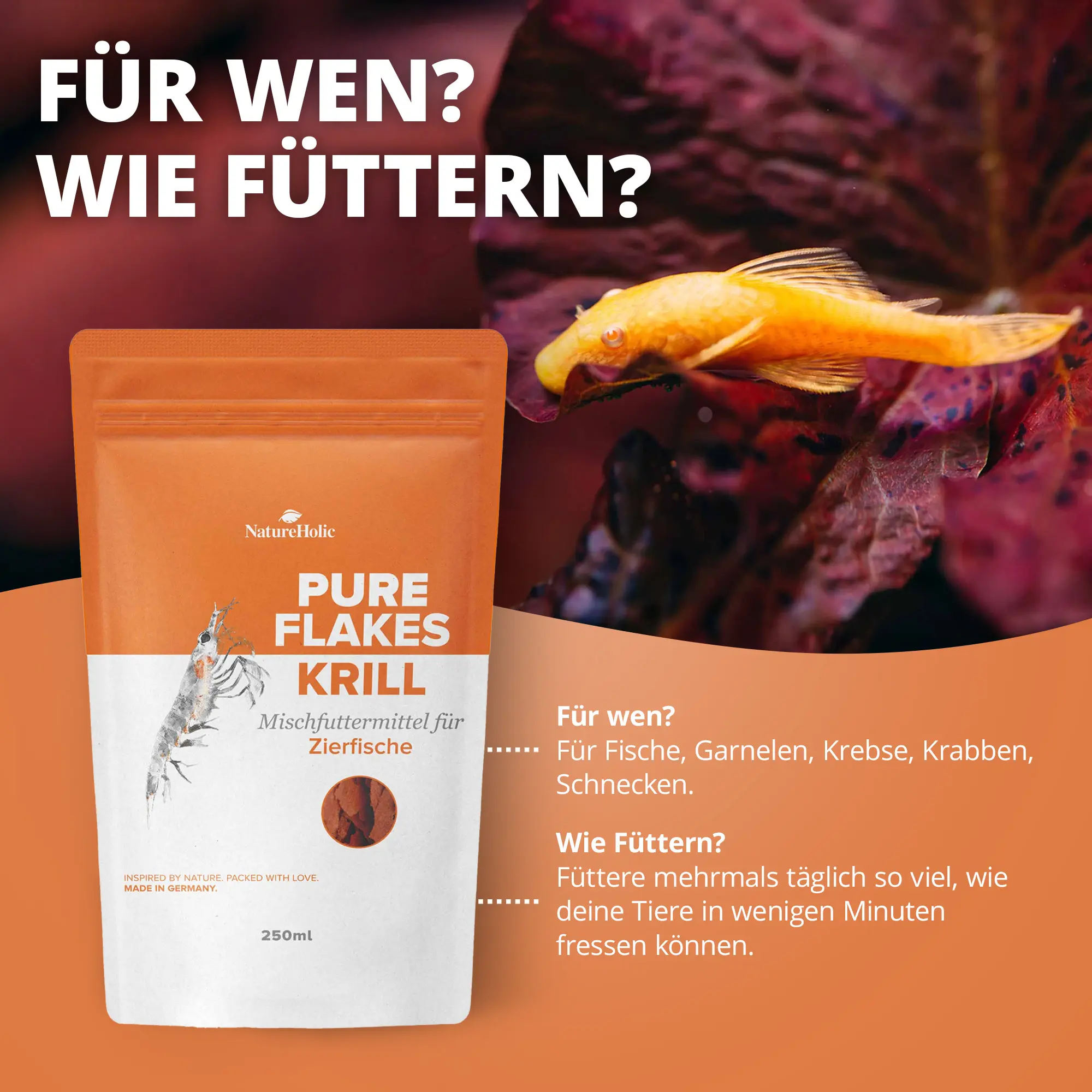 Orange Verpackung mit Krill-Flocken neben gelbem Zierfisch