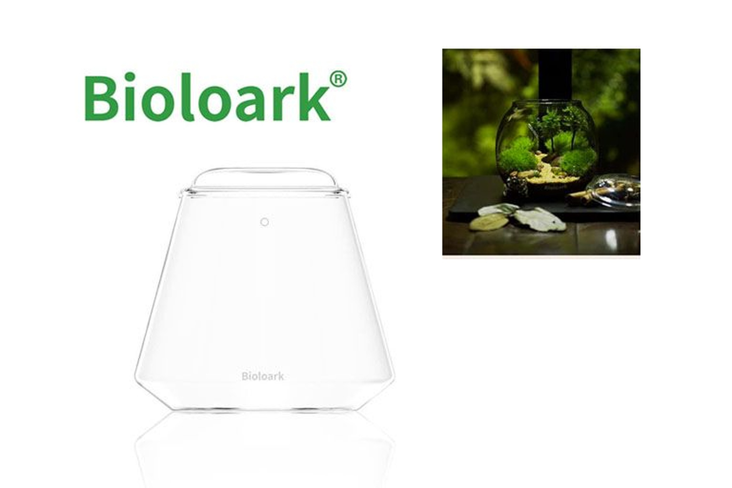Bioloark Bubble Cup TWO, Wabi-Kusa Glas
