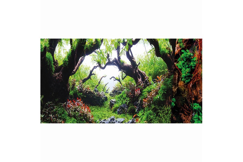 Hobby Fotorückwandzuschnitt Green Dream/Wooden Sky, 60 cm x 30 cm