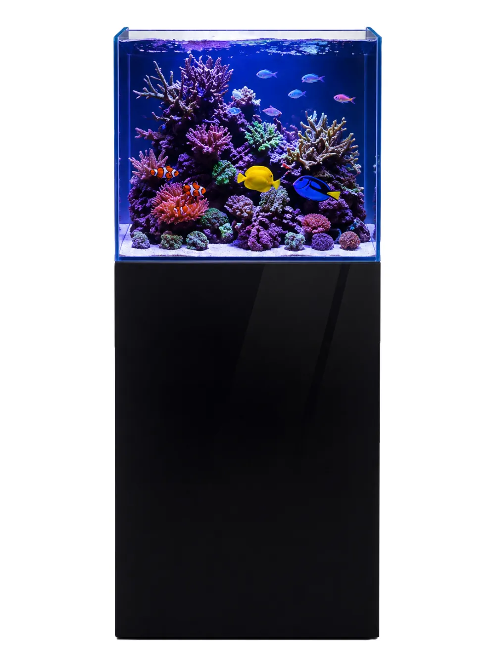 Dupla Marin Cube Stand 80 black Unterschrank 45 x 45 x 90 cm aus FSC®-Holz mit schwarzer Glasfront, tragfähig bis 150 kg, passgenau für Cube- und Scaping-Aquarien – modernes, schlankes Design