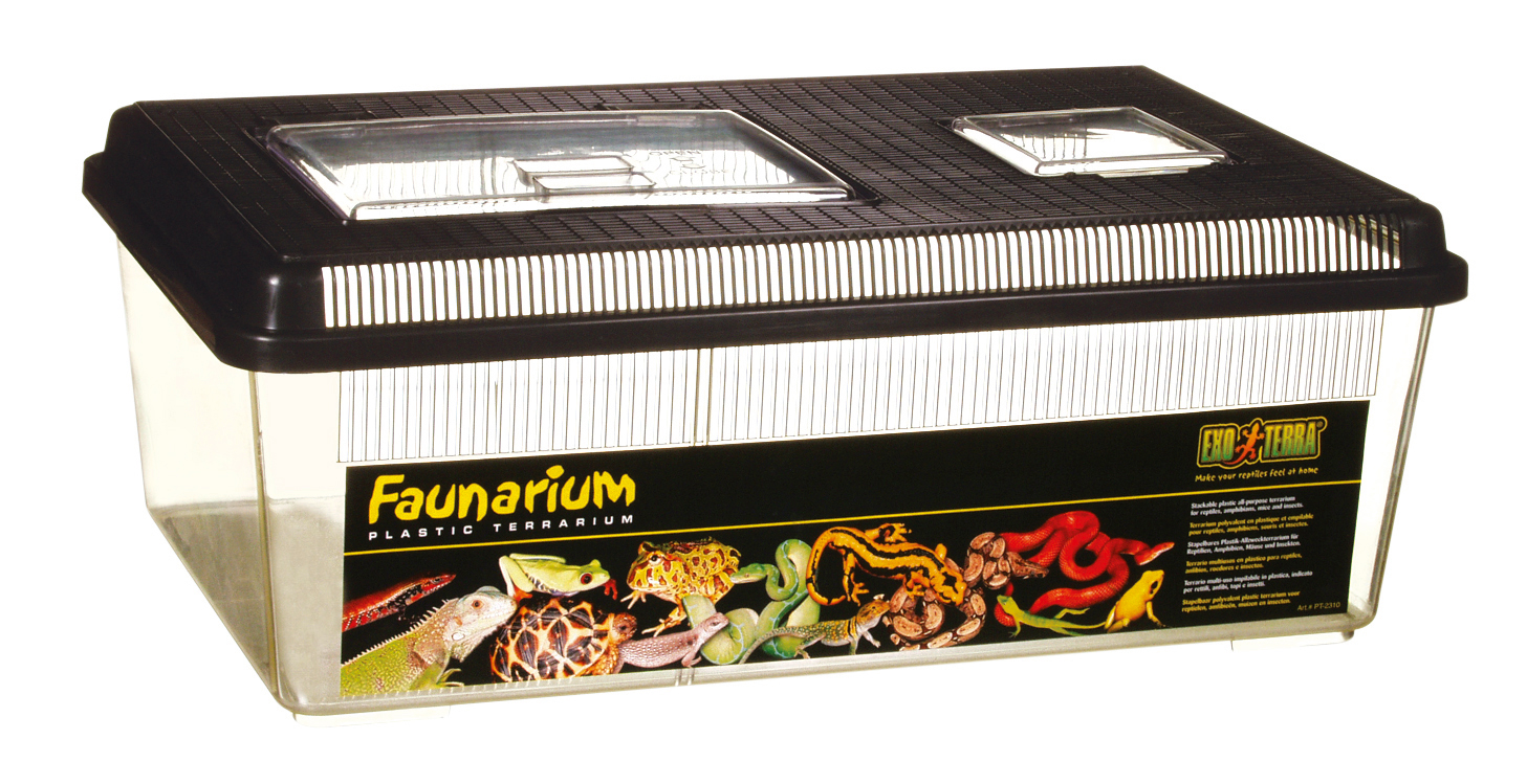 Exo Terra Faunarium flach groß Reptilienbeh.