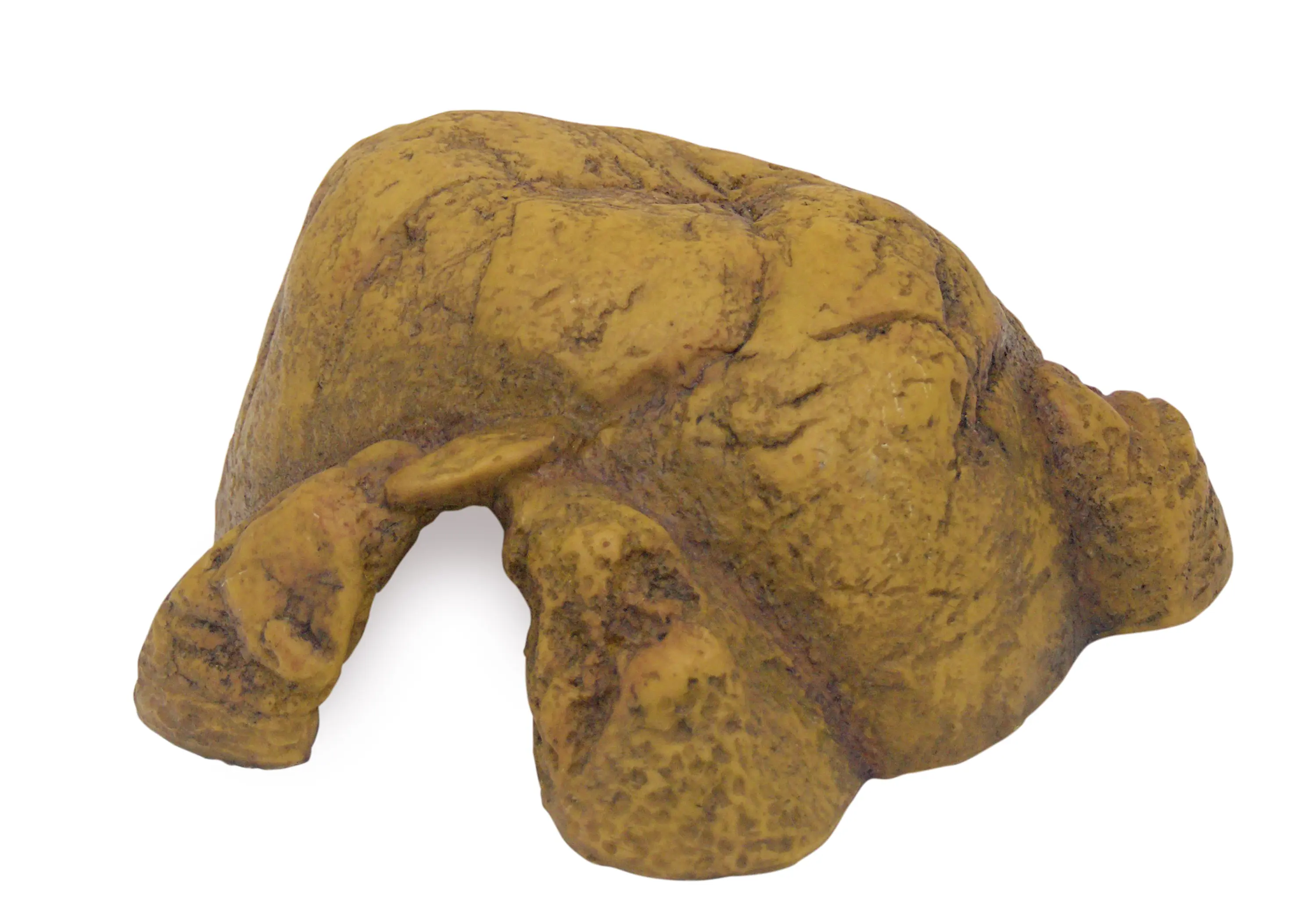 Exo Terra Reptile Cave M