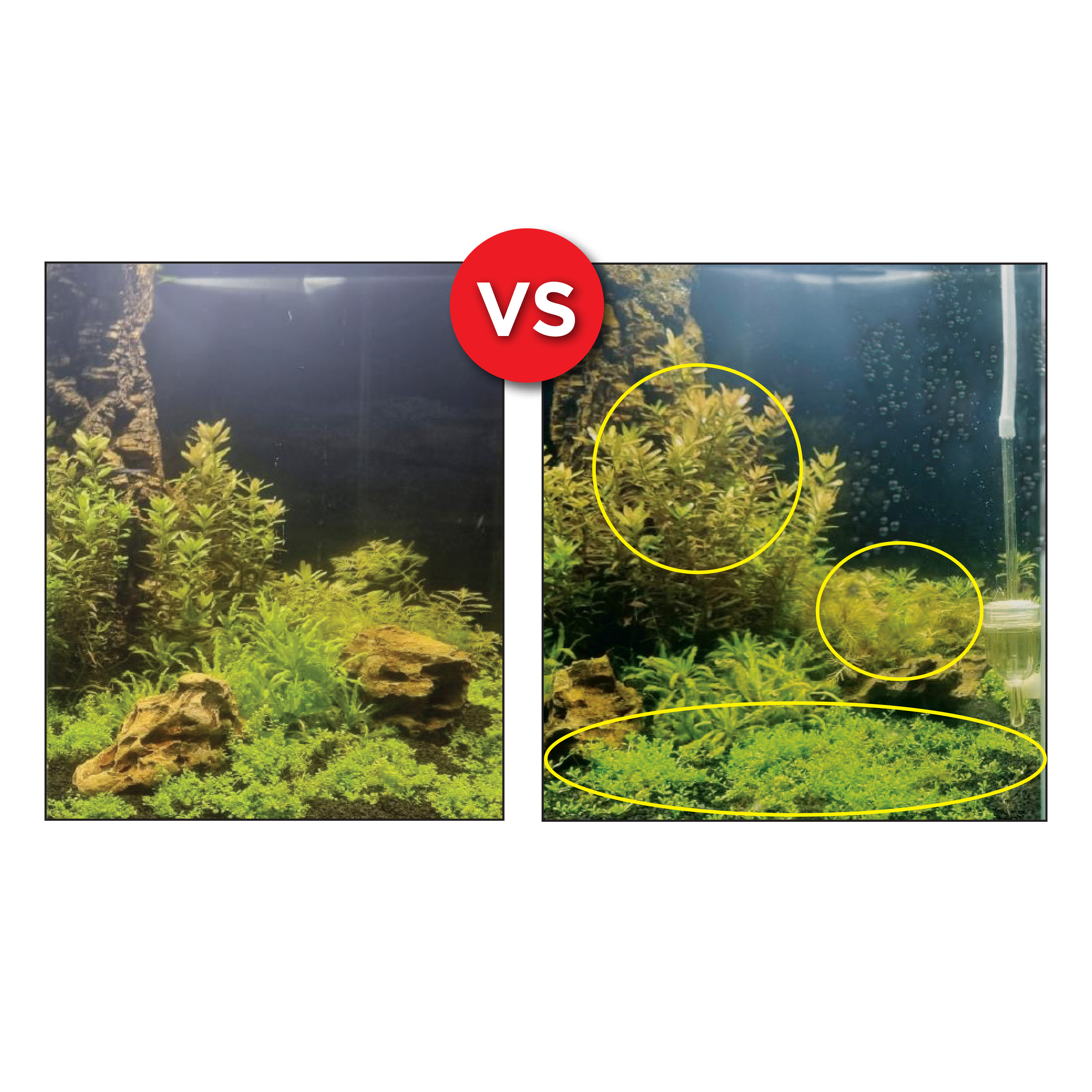 Fluval FLUVAL BIO CO2 250L