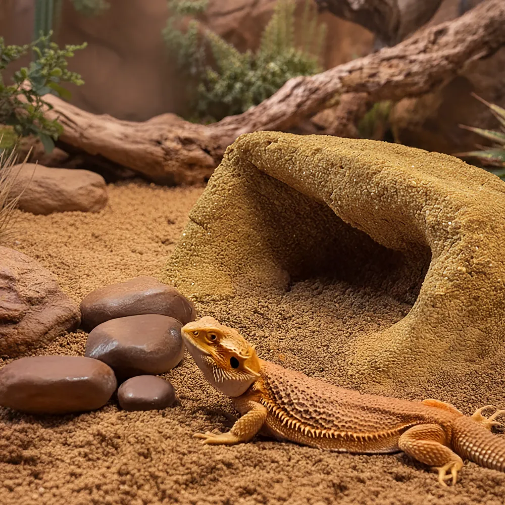 Terrarium mit gelbem, gebundenem Lehmboden und Höhle; Hobby Terrano Clay Powder gelb (Lehmpulver) sorgt für formstabile, aber grabbare Bodenzonen. Bild zeigt eine Echse/Bartagame auf dem gelben Substrat.