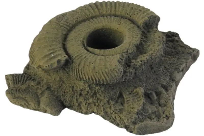 Variogart Pflanzhilfe 11 Fossilien 1429