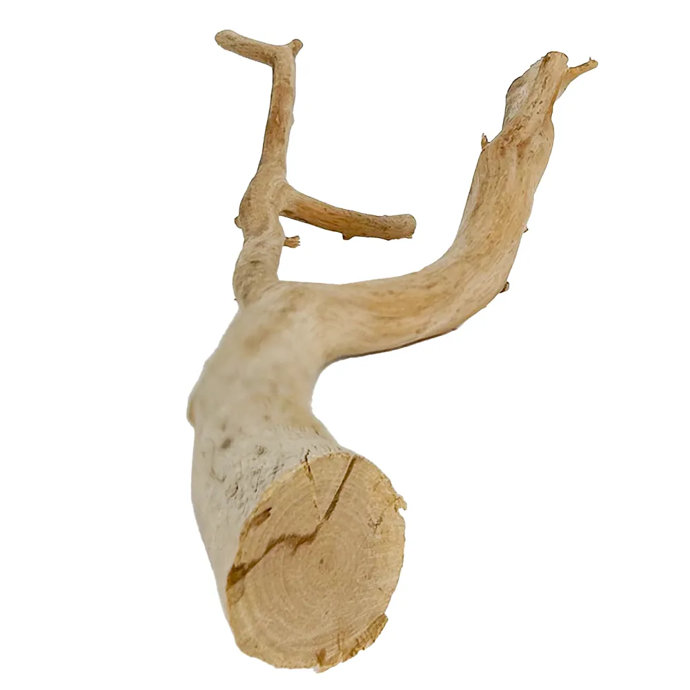 Hobby Manza Wood Naturholz (40–60 cm), vielfach verzweigter Treibholz-Ast mit dünnen Ästen – ideal zum Aufbinden von Moosen, Versteck für Garnelen und Jungfische sowie Kletterstruktur im Terrarium