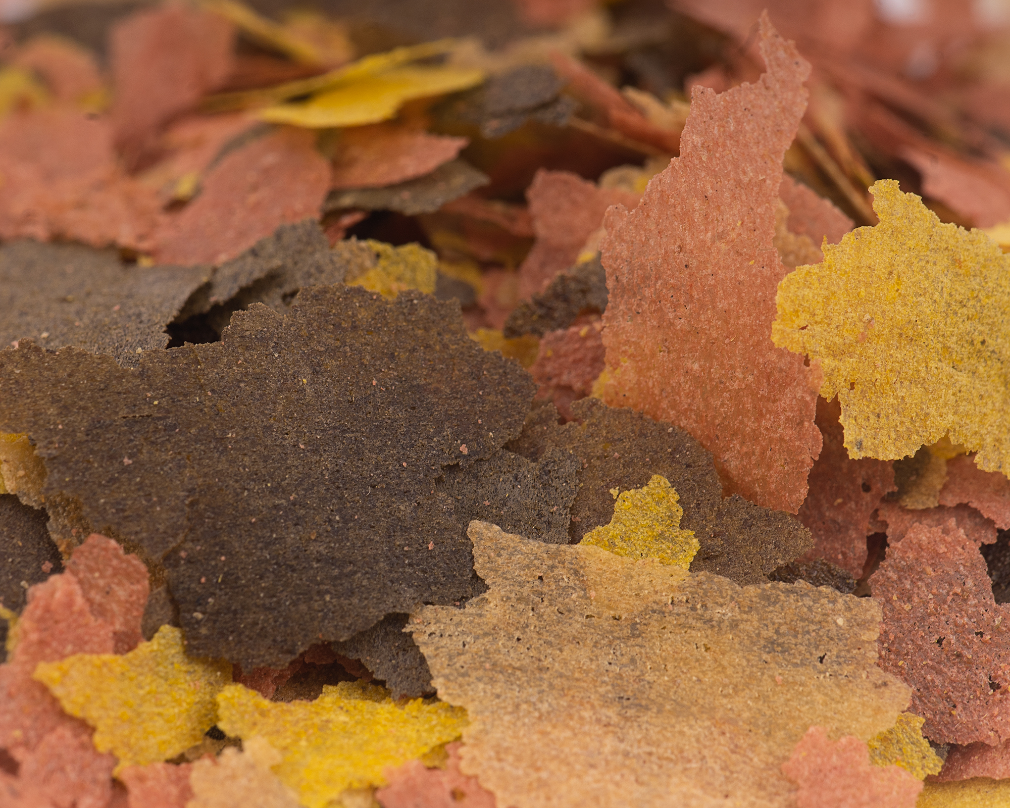 Nahaufnahme bunter Flocken des NatureHolic Pure Flakes Energy+ Futters, energiereiche Flocken mit L-Carnitin, Algen und Aloe-Vera für Zierfische und Wirbellose, 250 ml