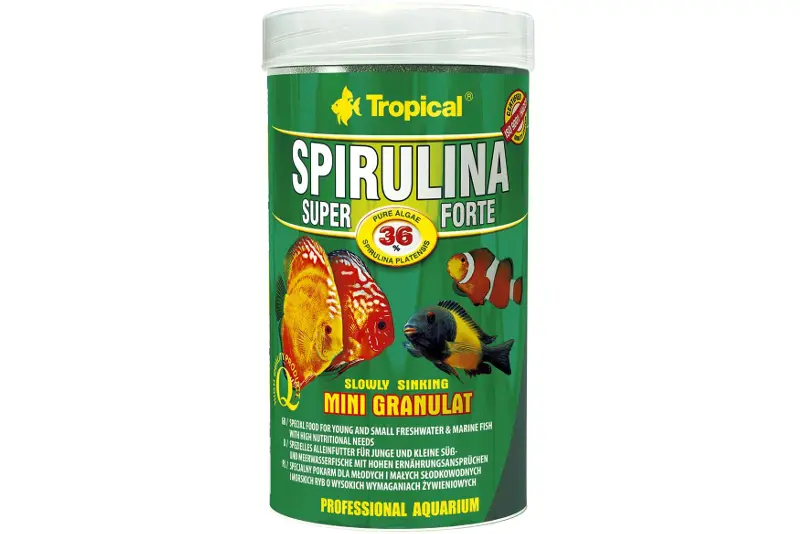 Tropical Spirulina Super Forte 36 % Mini Granulat, 100 ml