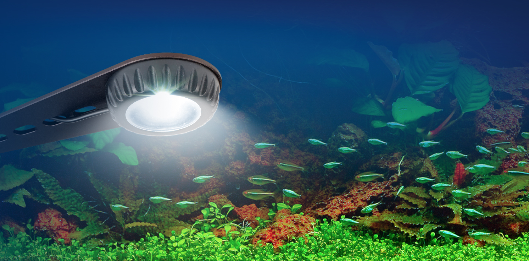 Fluval Nano LED