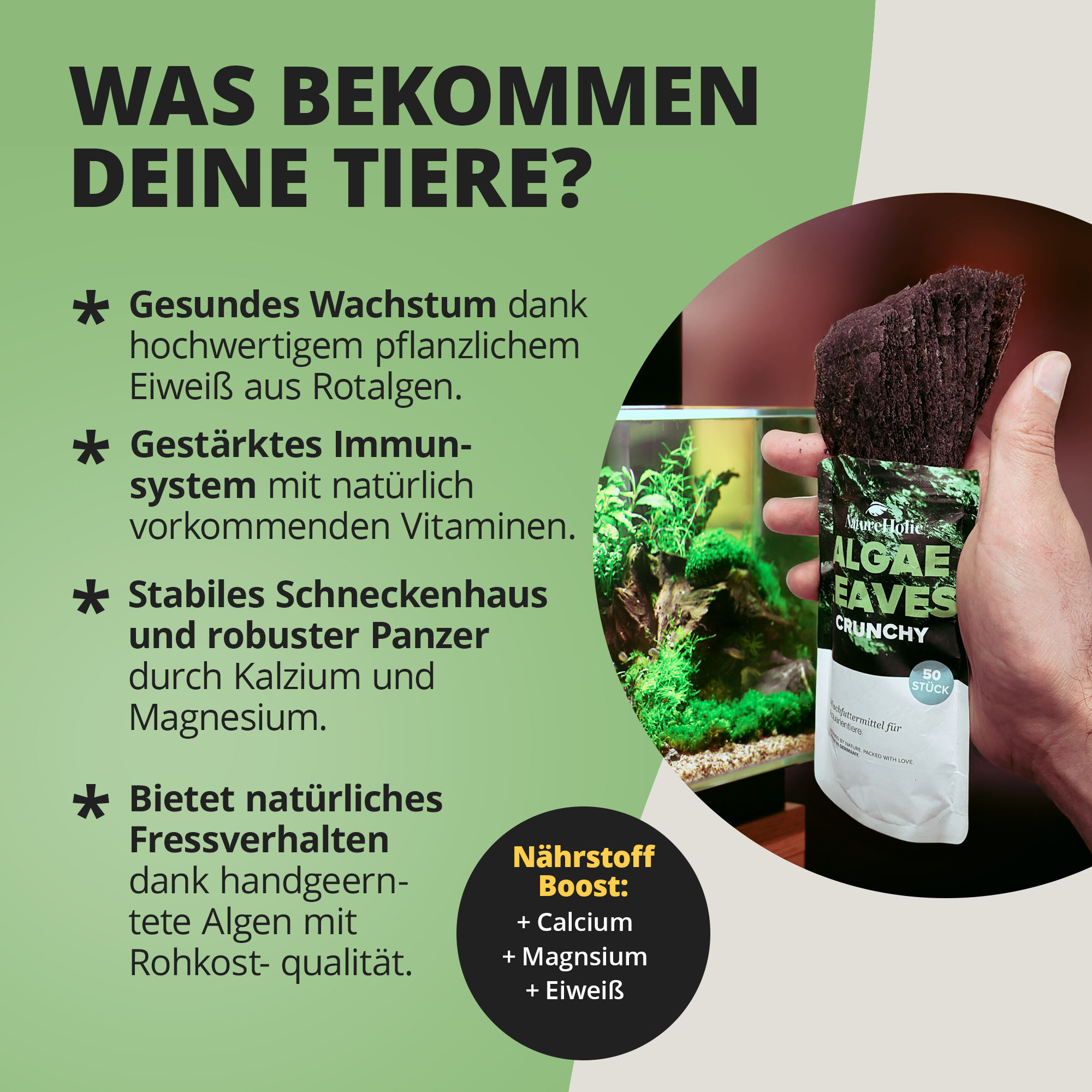 Algenblätter Snack für Aquarienschnecken, Packung