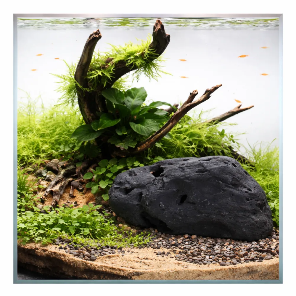 Hobby River Rock 3 (21 × 17 × 10,5 cm) als dunkel gerundeter Flussstein im Aquascape: platzierter Stein auf Kies und Sand, umgeben von Moos-, Bodendeckerpflanzen und treibholz – natürliche Aquarium‑Dekoration