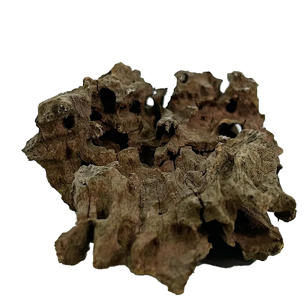Hobby Honeycomb Wood L, durchbrochenes Naturholz 30–40 cm mit Hohlräumen und offenen Kammern als Versteck für Garnelen, Jungfische und Wirbellose sowie Kletter- und Schattenspender im Terrarium