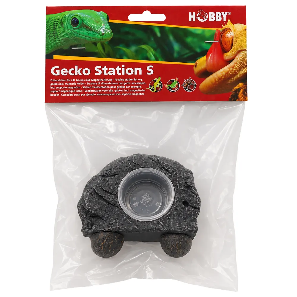 Gecko Station S von Hobby: kleine Futter- und Wasserschale in künstlicher Steinoptik mit rundem, abnehmbarem Plastikeinsatz und Magnetbefestigung, im Verkaufspack