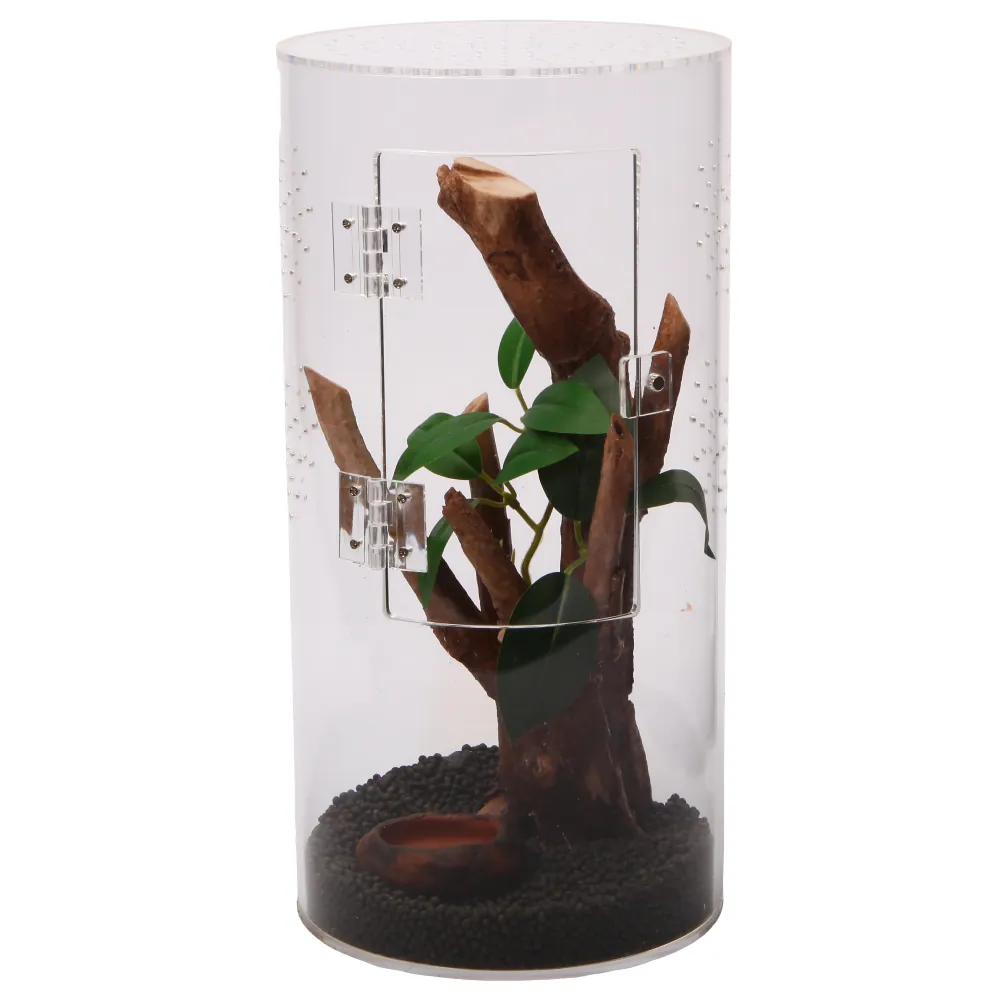 Rundes Acrylterrarium Hobby Terra Fix & Easy Insect Line 15 × 15 × 30 cm, klare nahtlose Wand, sichtbare Fronttür und Belüftungsbohrungen; Innen mit Ästen, Pflanze und Substrat für Springspinnen und junge Insekten