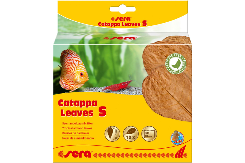 Sera Catappa Leaves S 10 – 15 cm, 10 Stück