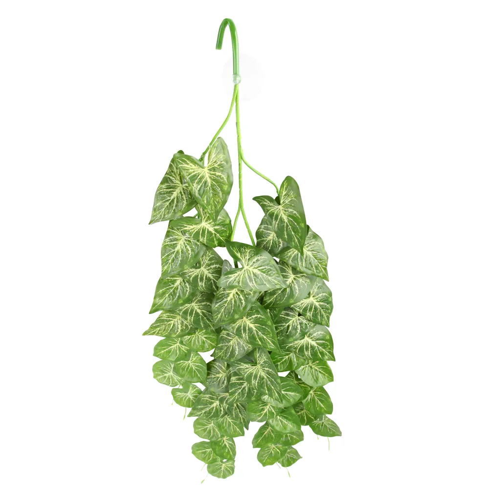 Hobby Climber Heartleaf hängende Terrarienpflanze, 70 cm, kleinere herzförmige grüne Blätter, Saugnapf-Befestigung; kunstvolle Hängepflanze zur Rückwandbegrünung im Terrarium/Paludarium