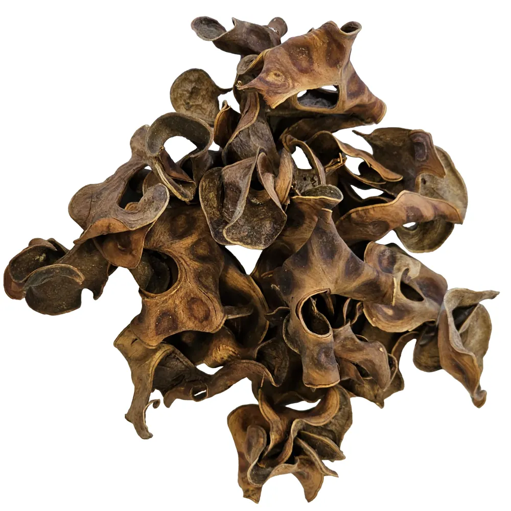 Hobby Jungle Star Flowers Sterculia, 25 getrocknete sternförmige Fruchthülsen – braune, gewundene Botanicals fürs Aquarium, geben Tannine/Huminstoffe ab und bieten Verstecke für Garnelen und Jungfische