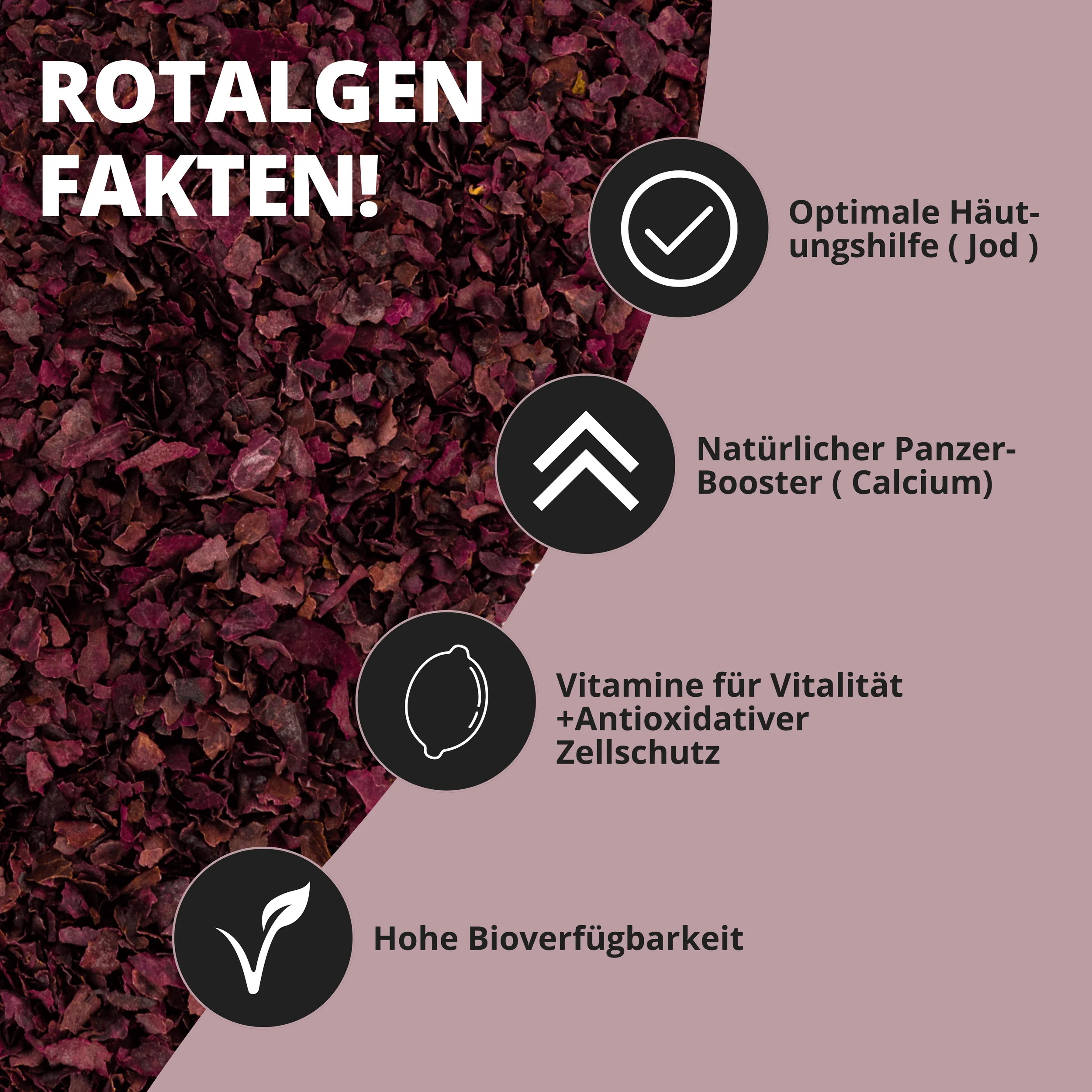 Infografik zu Rotalgen mit Vorteilen: Jod, Calcium, Vitamine