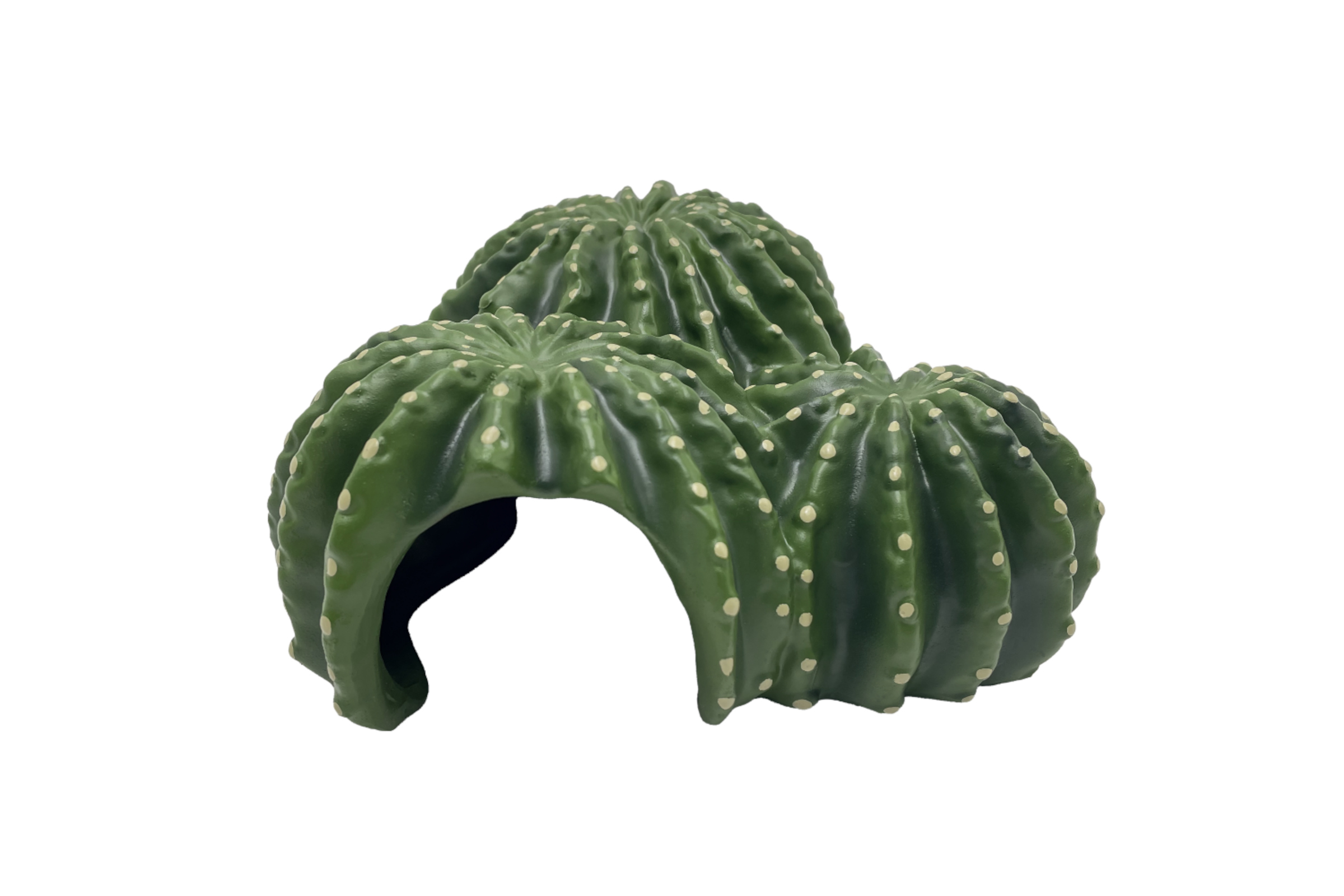 Hobby Cactus Home 6
