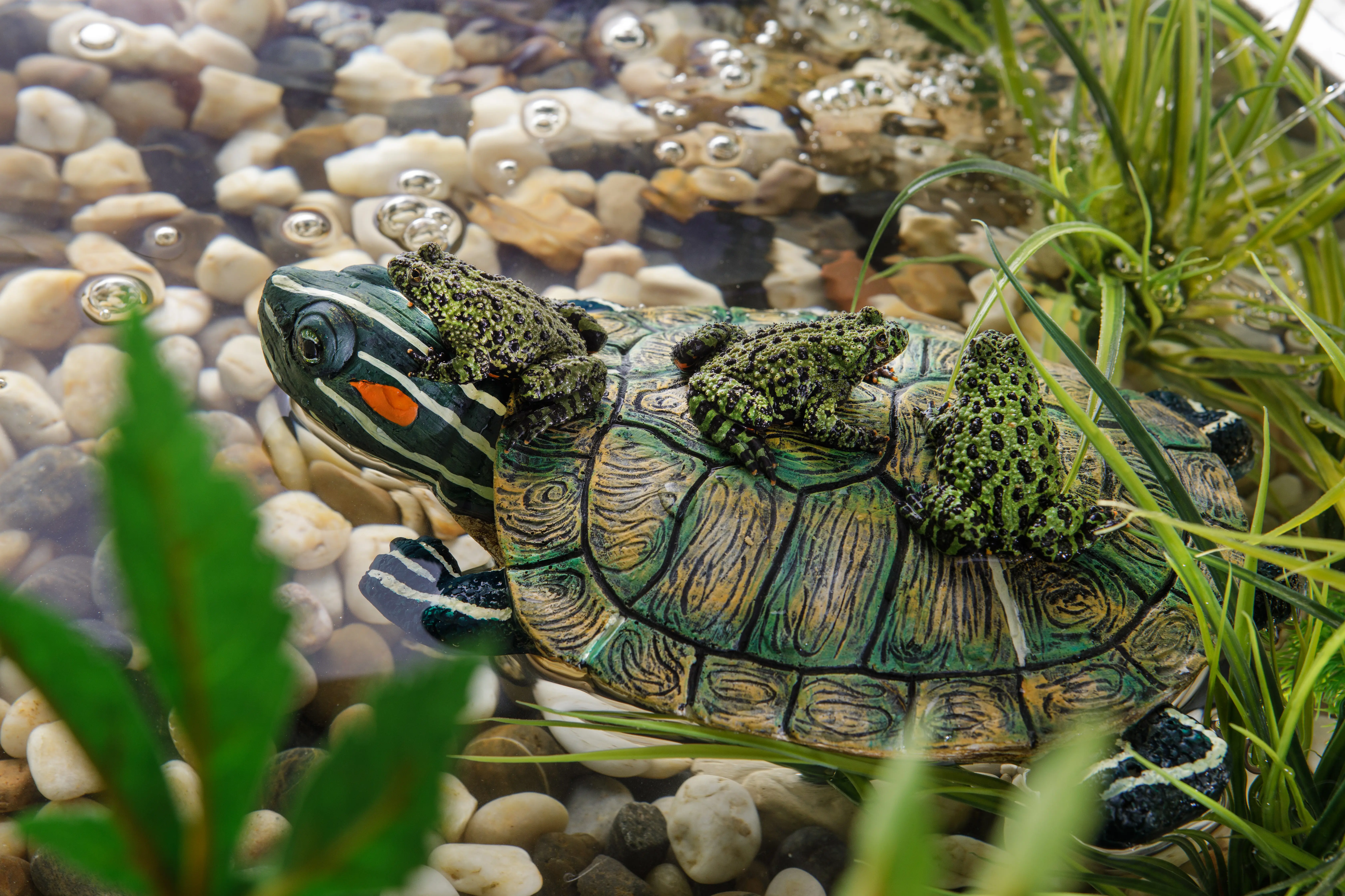 Exo Terra Turtle Turtle Island