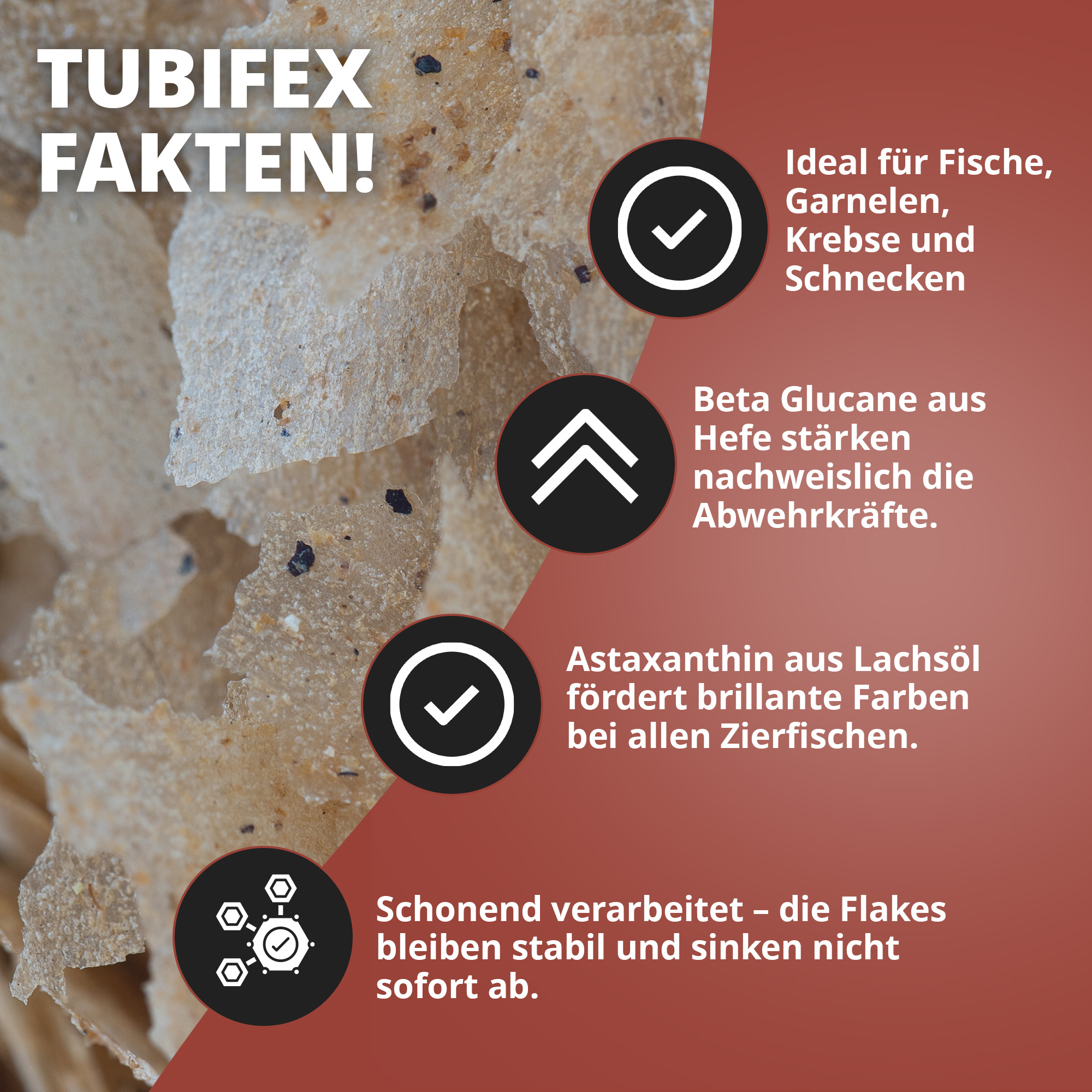 Nahaufnahme der NatureHolic Pure Flakes Tubifex Flocken (250 ml) mit Einblendtexten: ideal für Fische, Garnelen & Schnecken; Beta‑Glucane stärken Abwehrkräfte; Astaxanthin fördert Farben; schonend verarbeitet, sinkt nicht sofort ab.