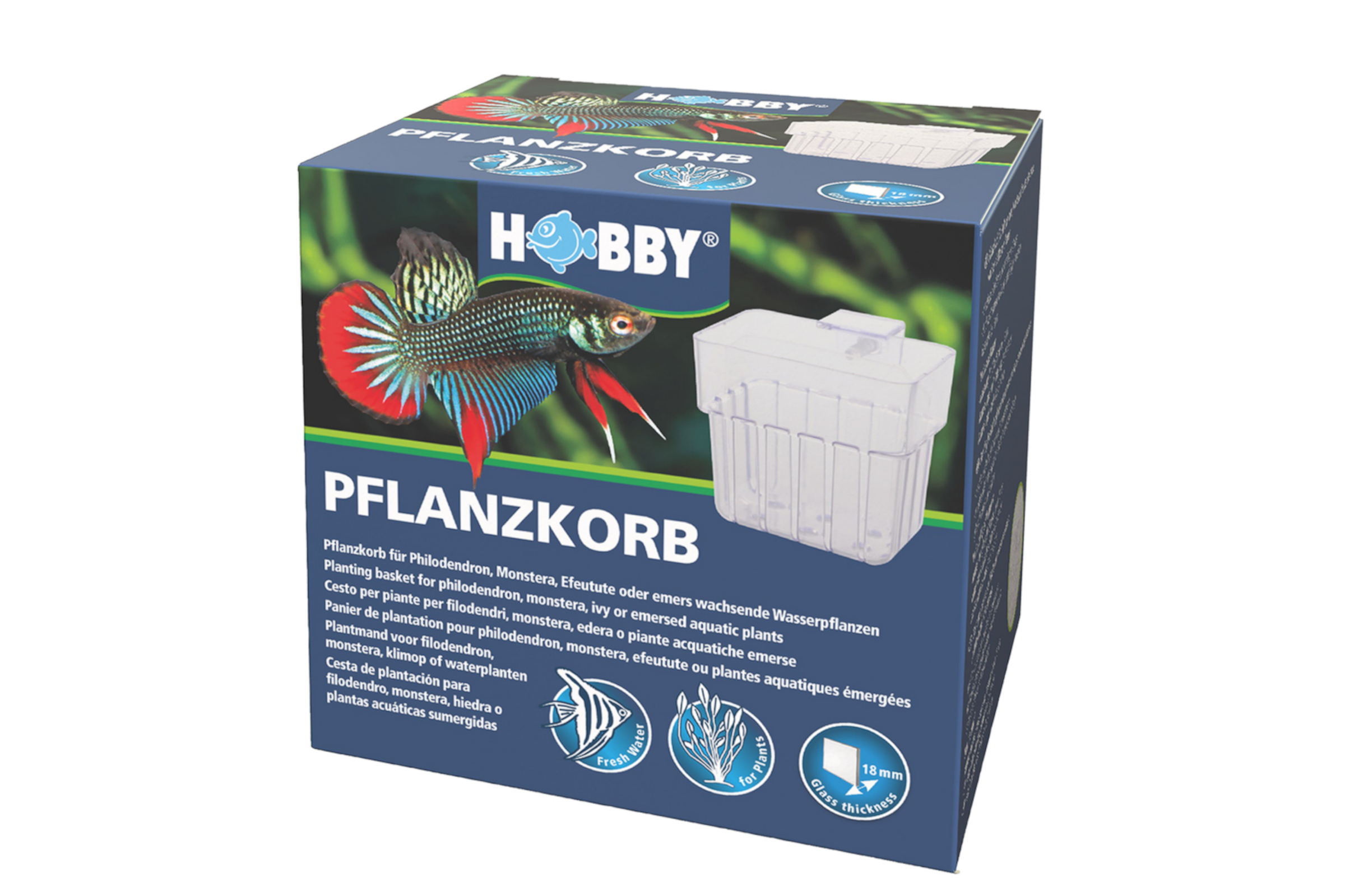 Hobby Pflanzkorb kaufen  Kultivierung emerser Aquarienpflanzen