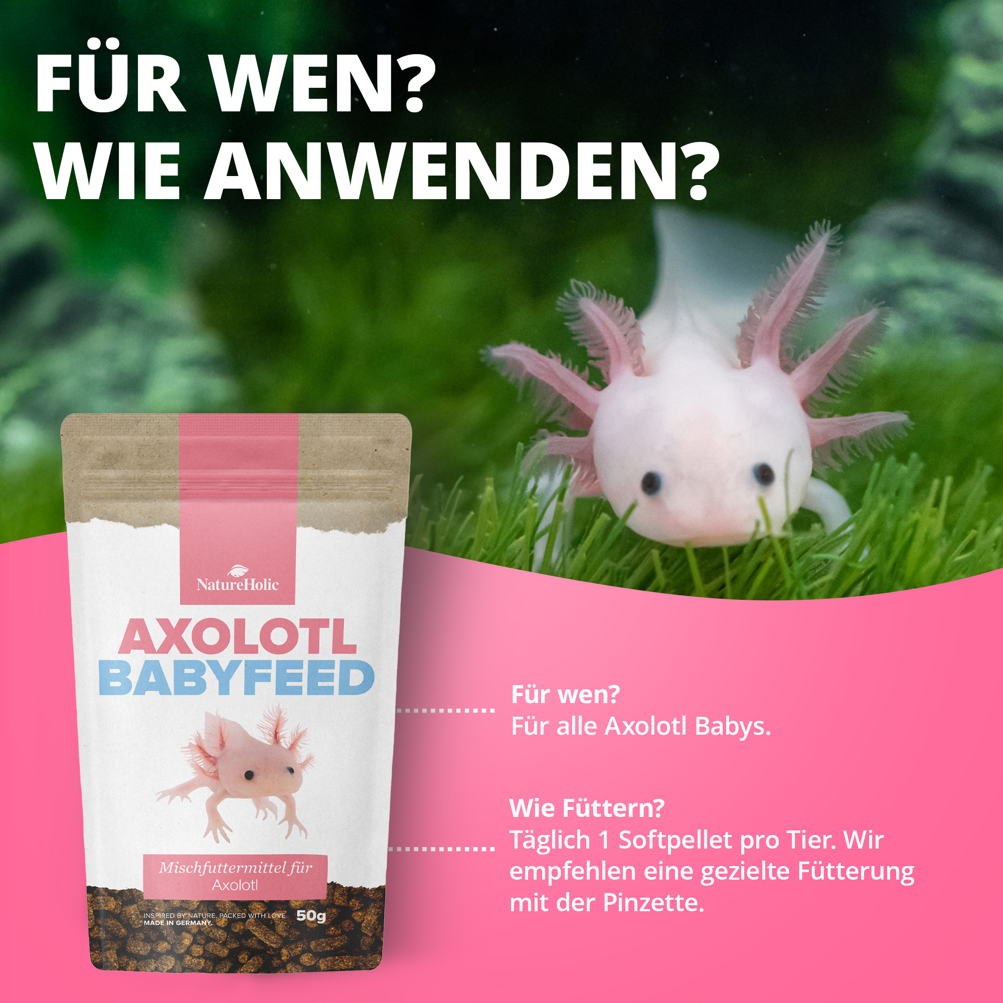 Axolotl-Babyfutter-Packung und Axolotl im Aquarium
