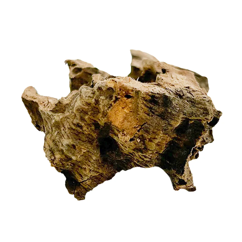 Hobby Honeycomb Wood M (20–30 cm), durchbrochenes Naturholz mit offenen Kammern und ausgefransten Kanten; dekoratives Versteck und Kletterstruktur für Aquarium (Garnelen, Jungfische) und Terrarium