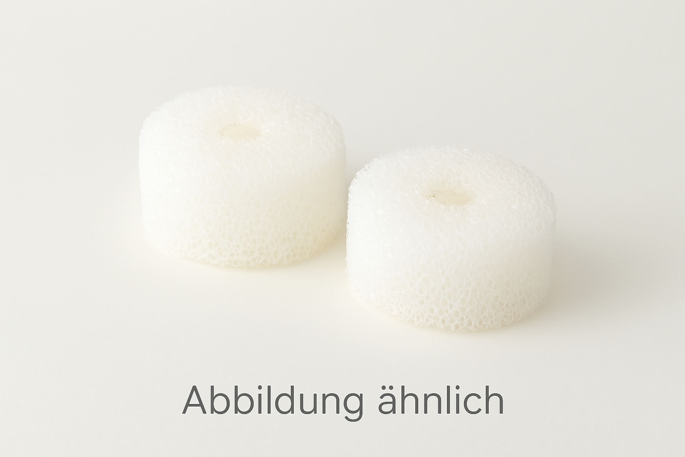 Eheim Filtereinsatz 2 Stück für Vorfilter 4004620