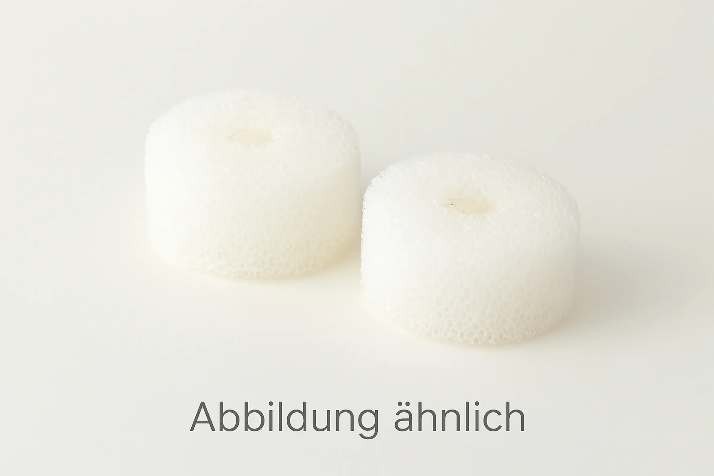 Eheim Filtereinsatz 2 Stück für Vorfilter 4004620