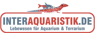 Meerwasser @Interaquaristik