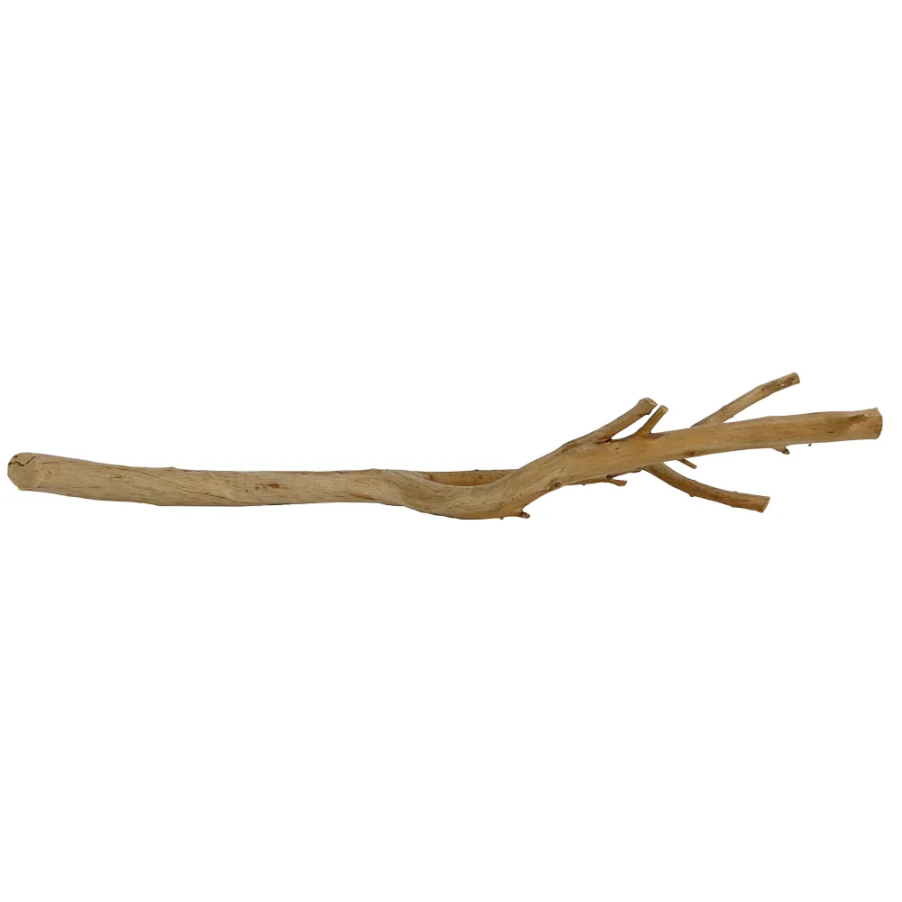 Hobby Manza Wood Naturholz 40–60 cm, vielfach verzweigter Ast mit dünnen Ästen – ideales Dekoholz zum Aufbinden von Moosen, als Versteck für Garnelen/Jungfische und als Kletterstruktur im Terrarium