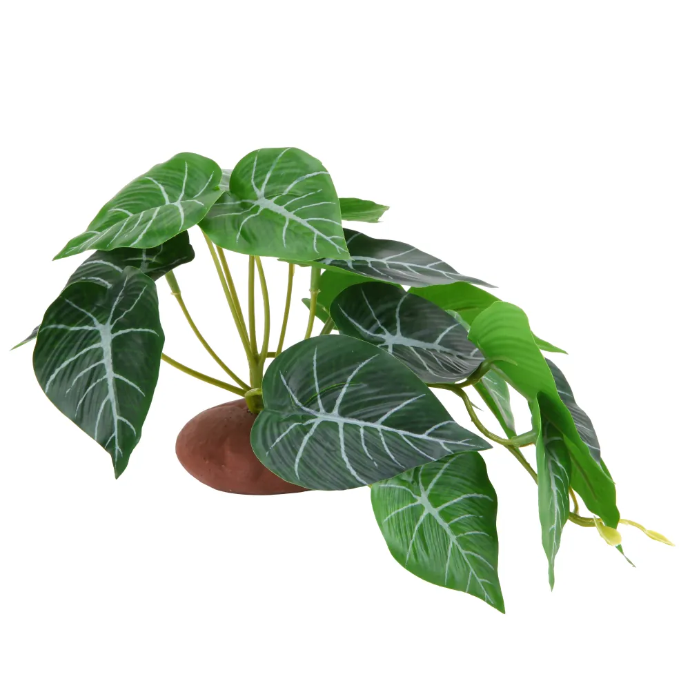 Hobby Alocasia 1, künstliche Alocasia (Pfeilblatt) 24 x 14 cm mit dunklen grünen Blättern und hellen Blattadern auf Stielen, dichter Vordergrund für Terrarien als Deckung für Reptilien, Amphibien und Wirbellose