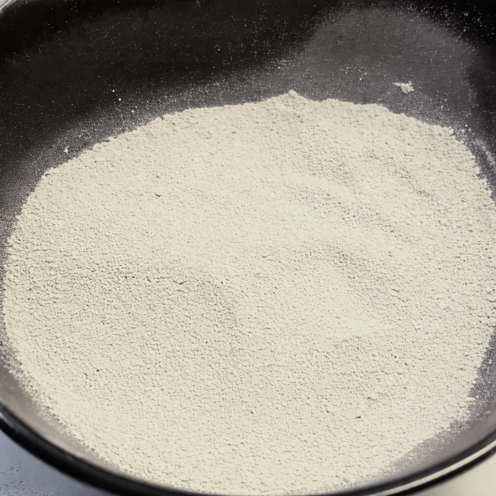 Schwarze Schale mit weißem, fein gemahlenem Lehmpulver – Hobby Terrano Clay Powder weiß für formstabile Terrarienbodengründe, bindet Sand und Erde