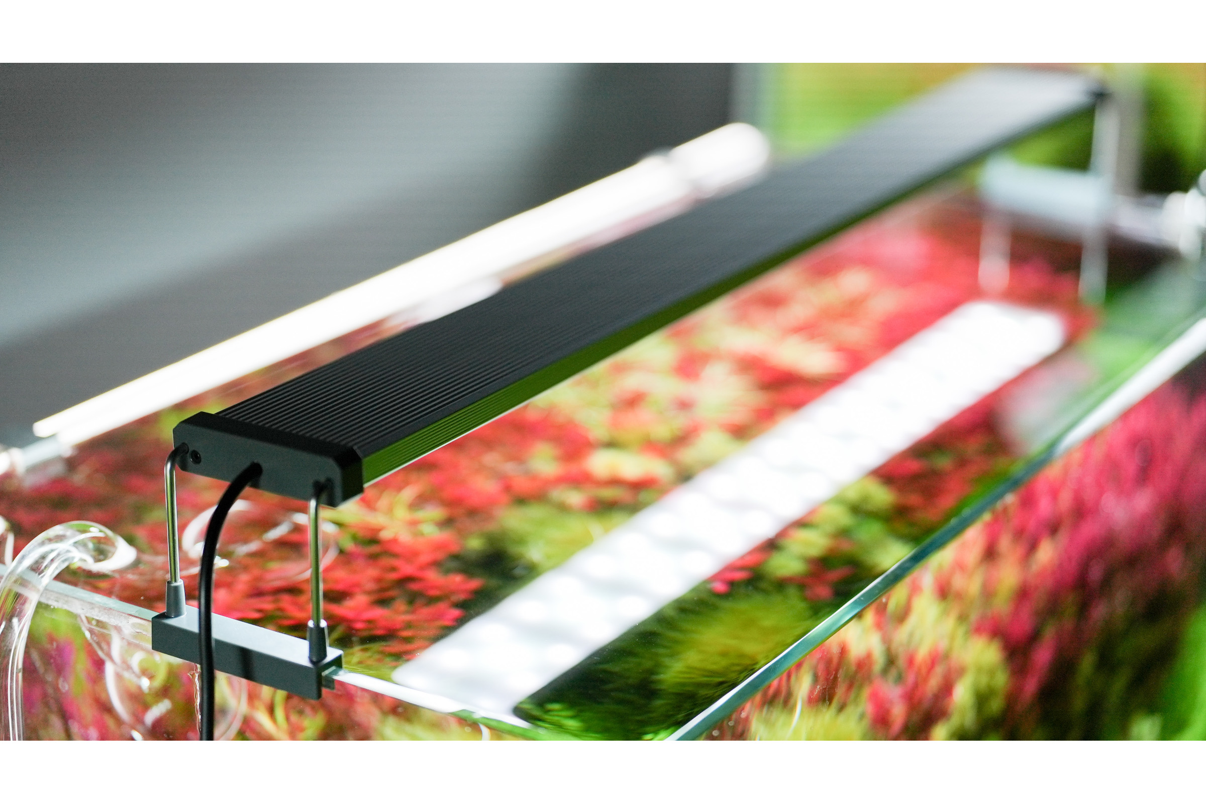 Chihiros B-Serie LED-Beleuchtung, 6 Größen, mit Bluetooth